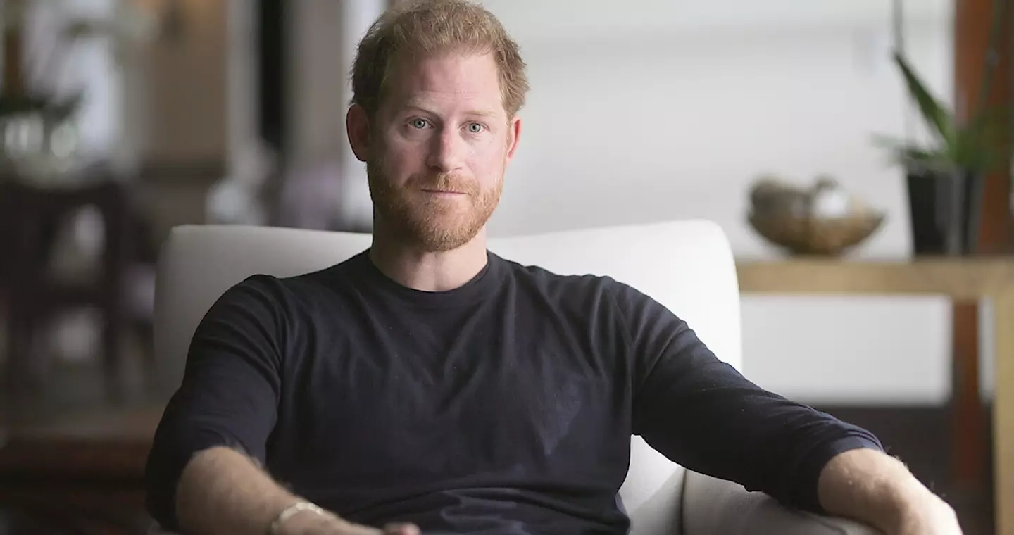 Prince Harry revealed all in a bombshell memoir (Netflix)