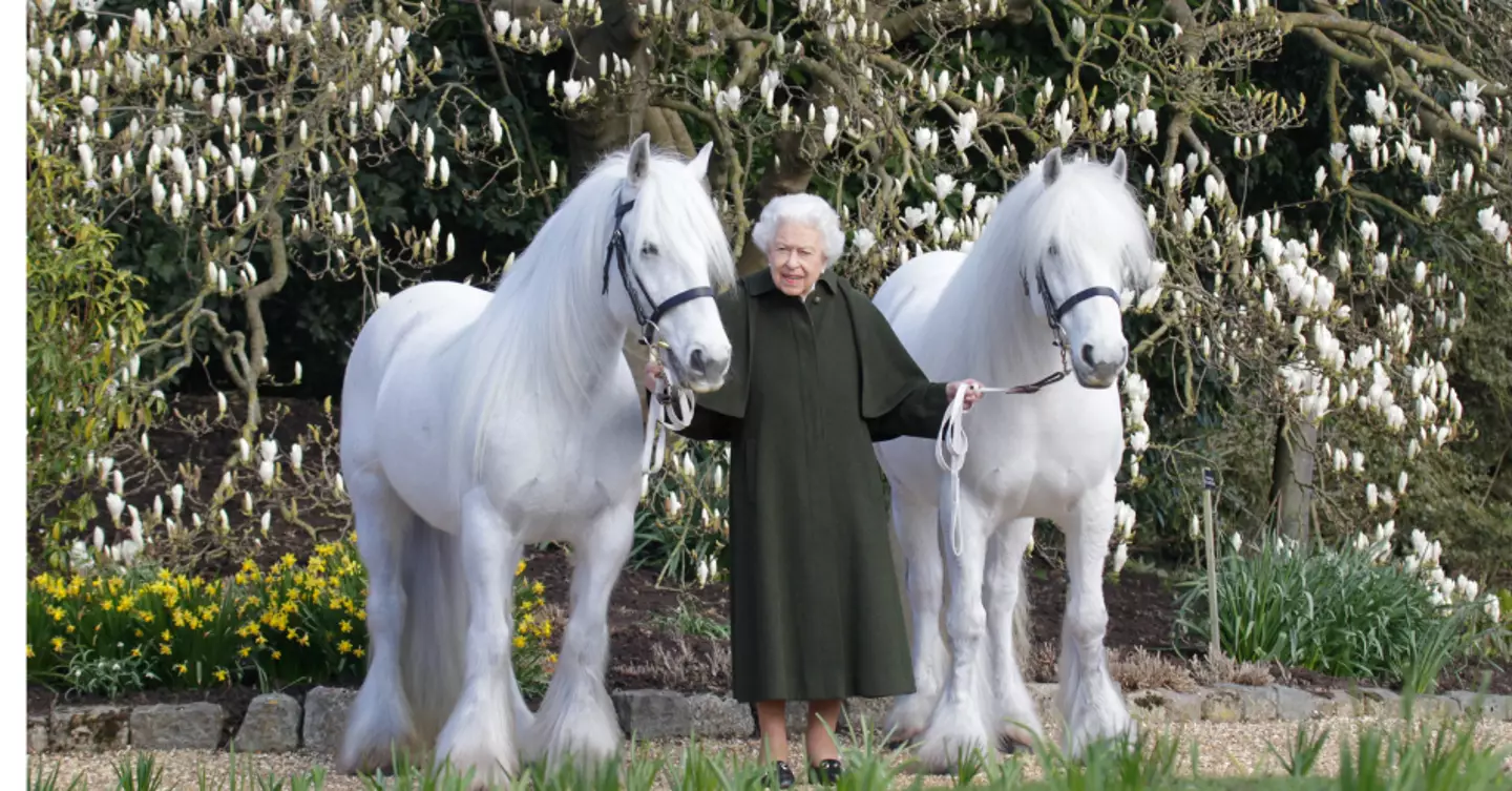 The photo was released to mark the Queen's 96th birthday. (