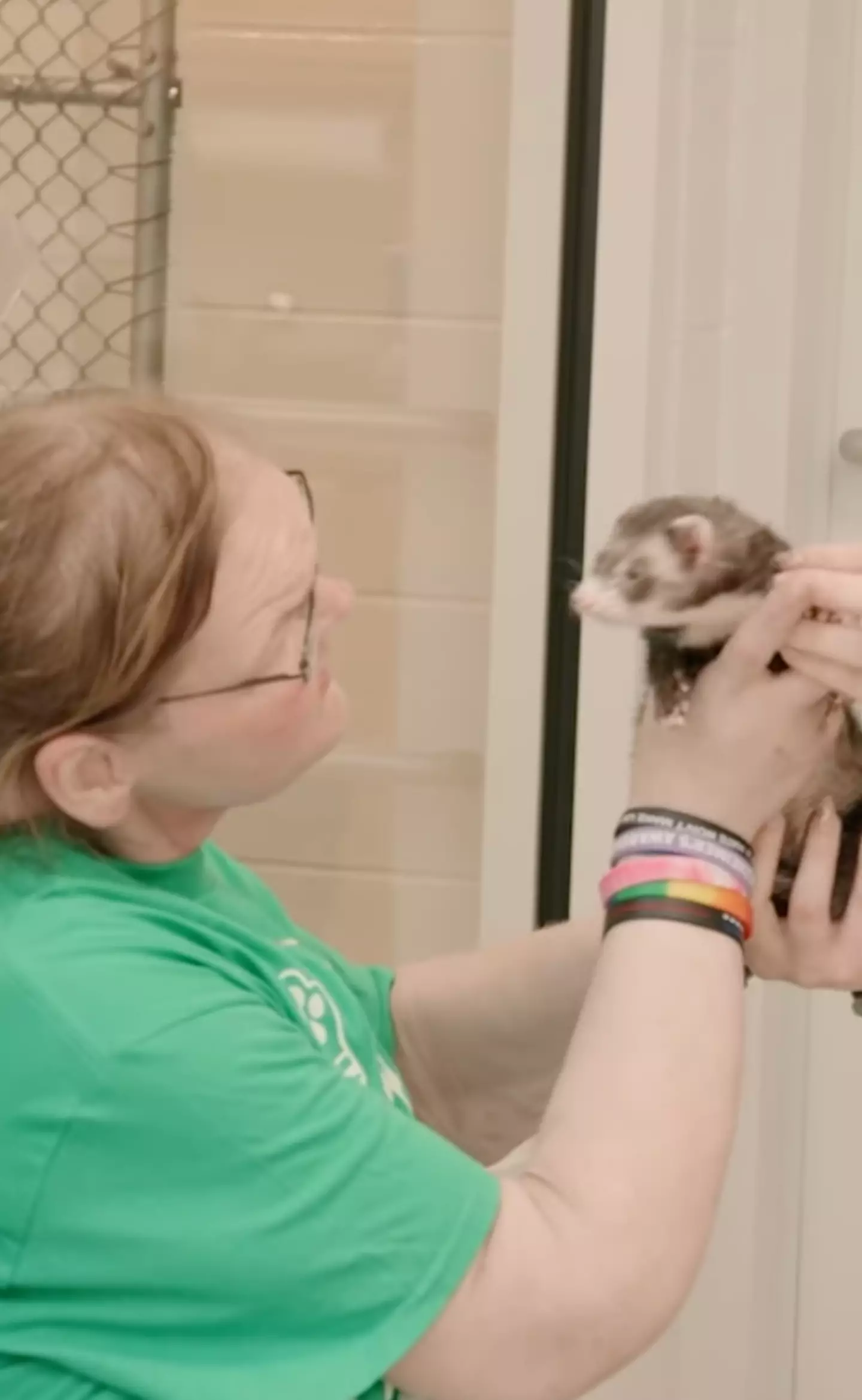 Tammy has also started working at an animal shelter (TLC)