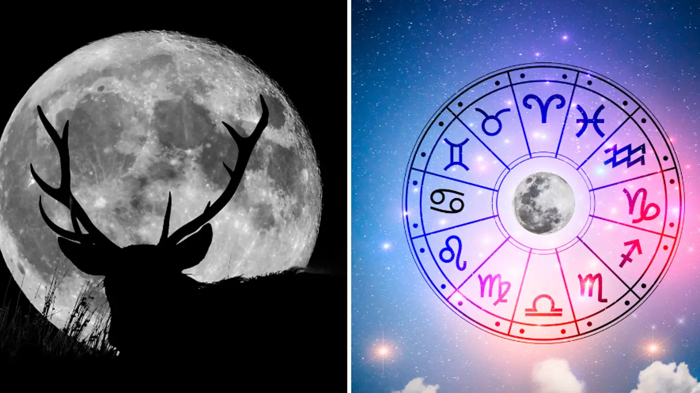 Astrologist reveals the zodiac signs affected by this weekend's Buck Moon
