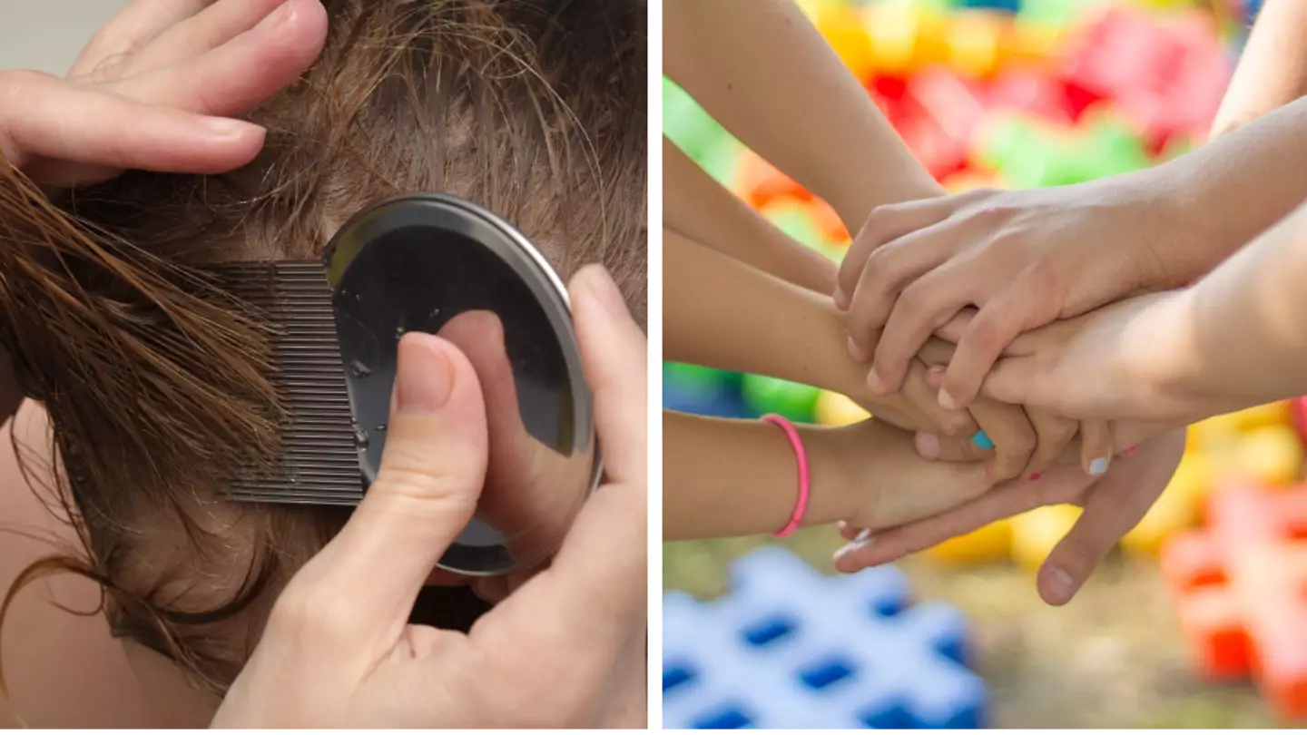 Mum says neighbour refuses to get rid of her child's head lice because she's vegan