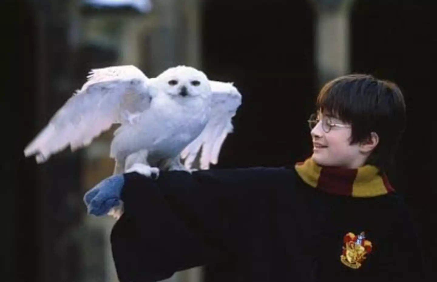 It's been more than 20 years since the world met Daniel Radcliffe as Harry.
