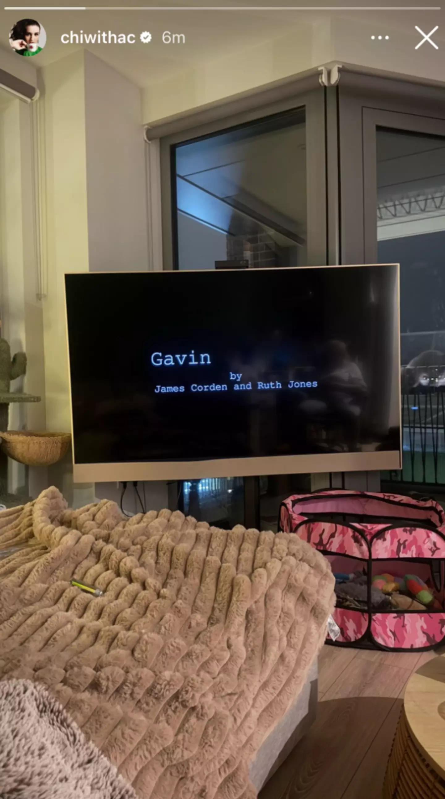 Ouch... (Instagram/@chiwithac)