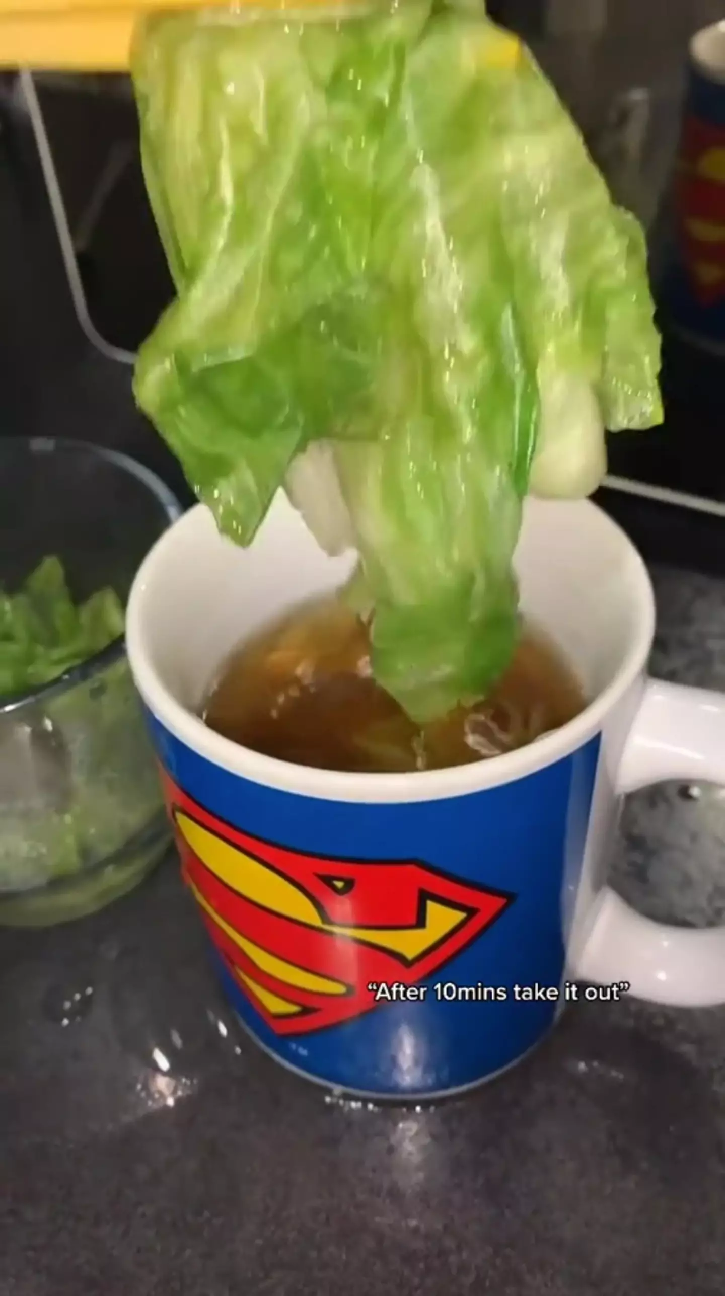 The TikTok user let the lettuce simmer in boiling water for 10 minutes (Credit; TikTok - @shapla_11)