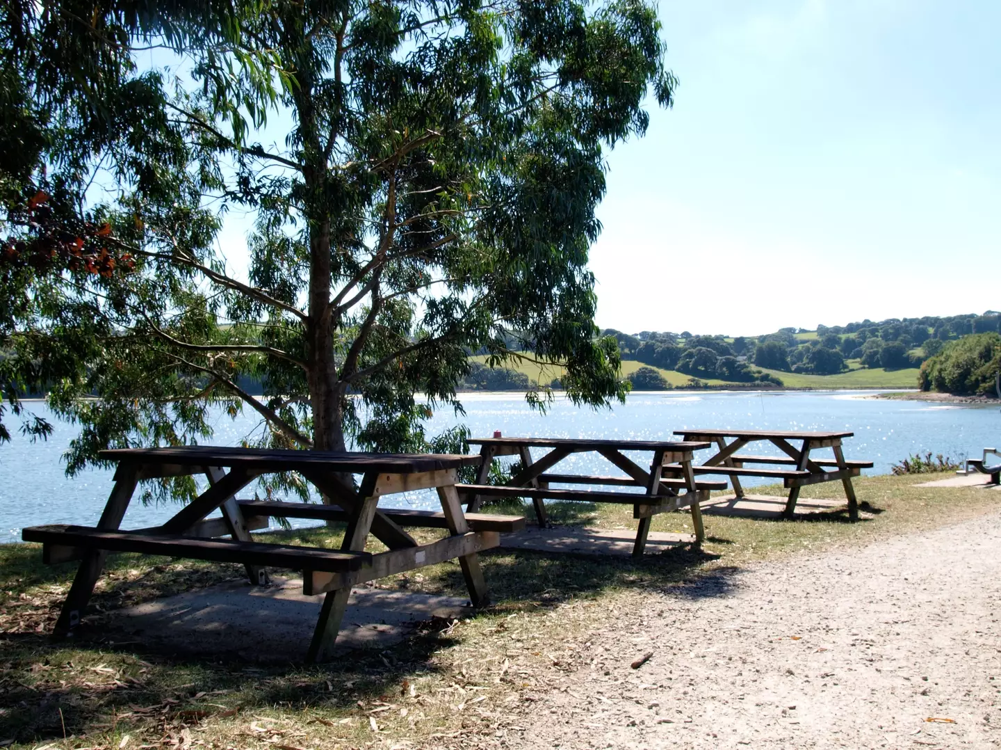 The picnic benches were 'reserved'.