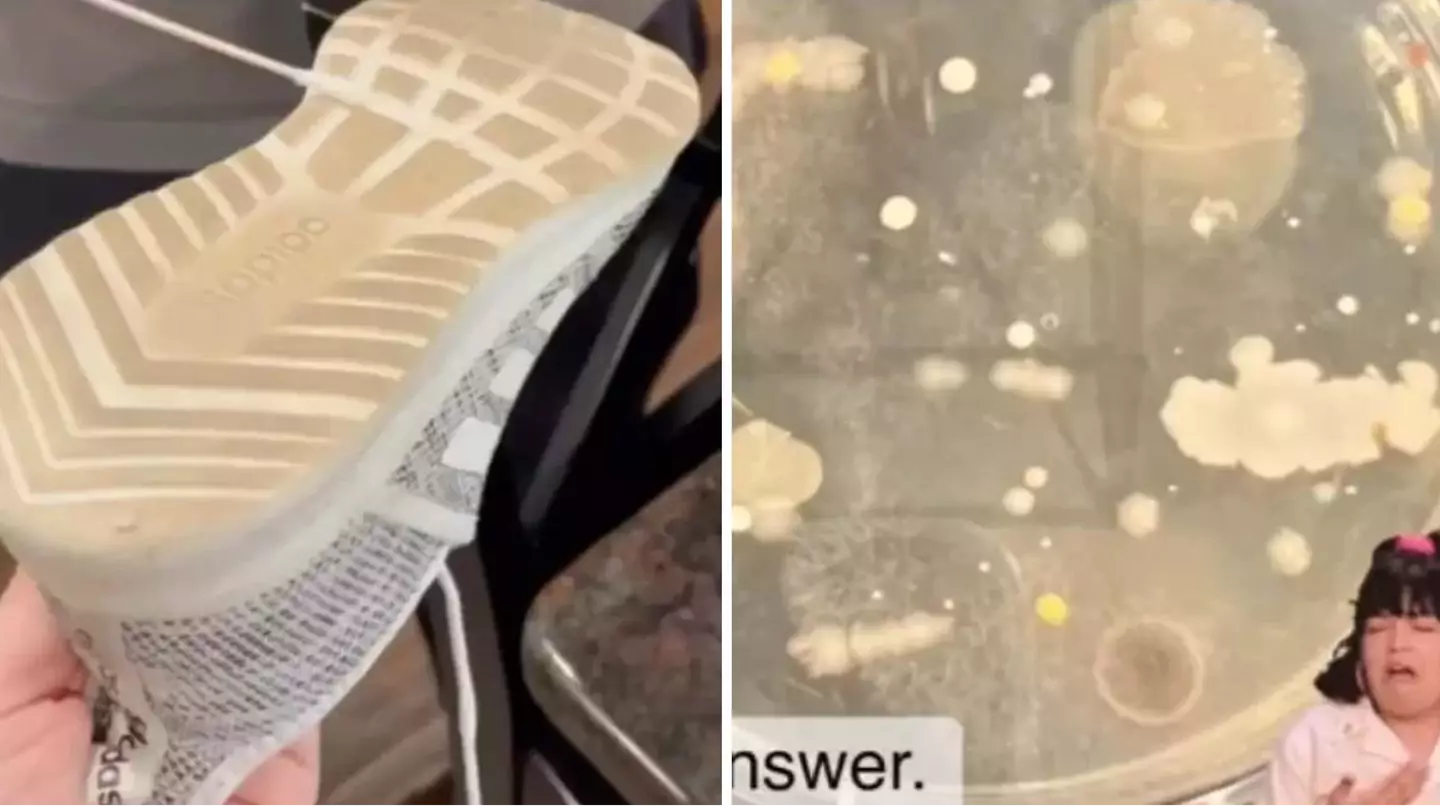Expert shows the disgusting reason why you should never wear outdoor shoes inside