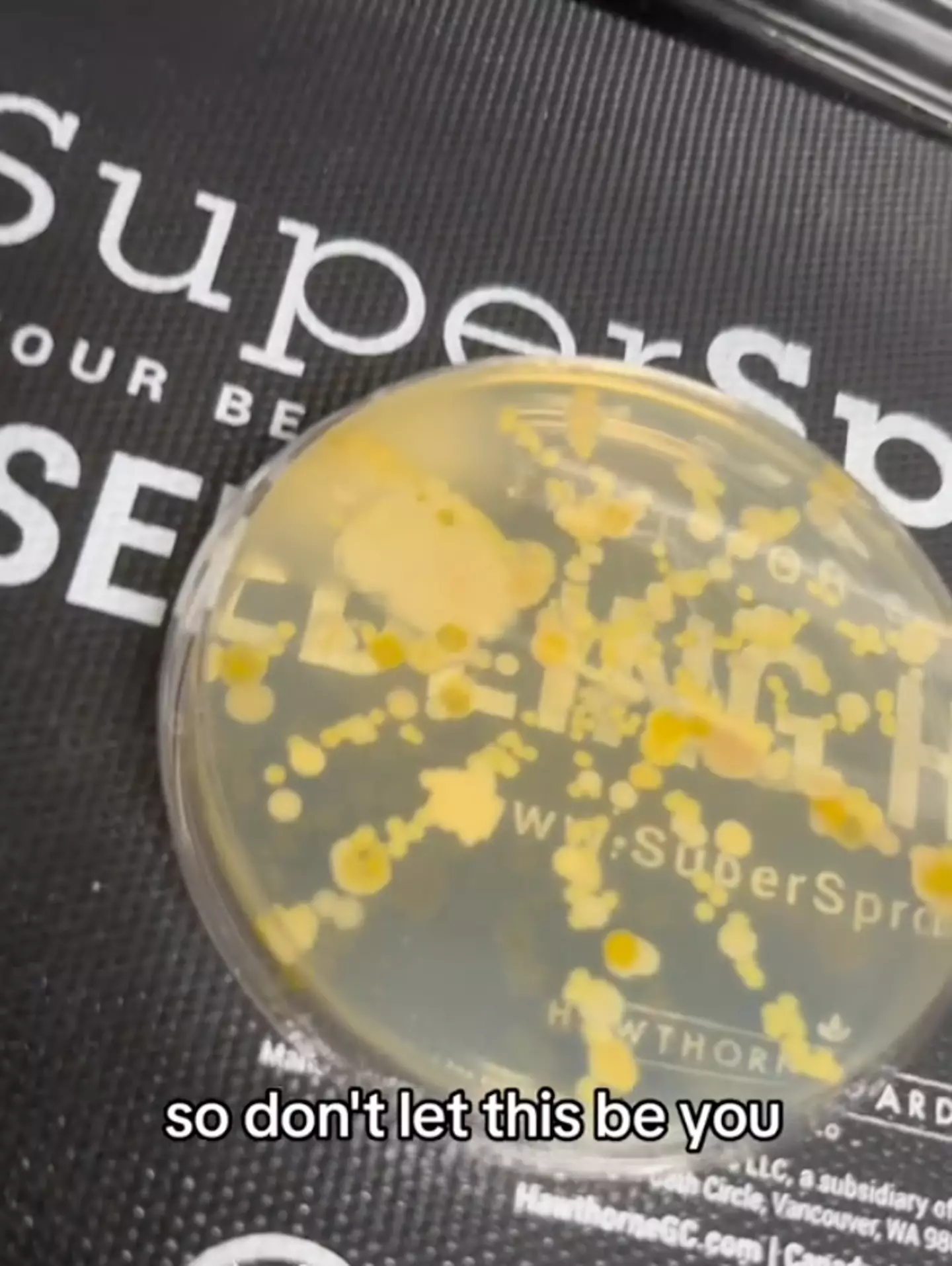 TikTok/@manifested_this