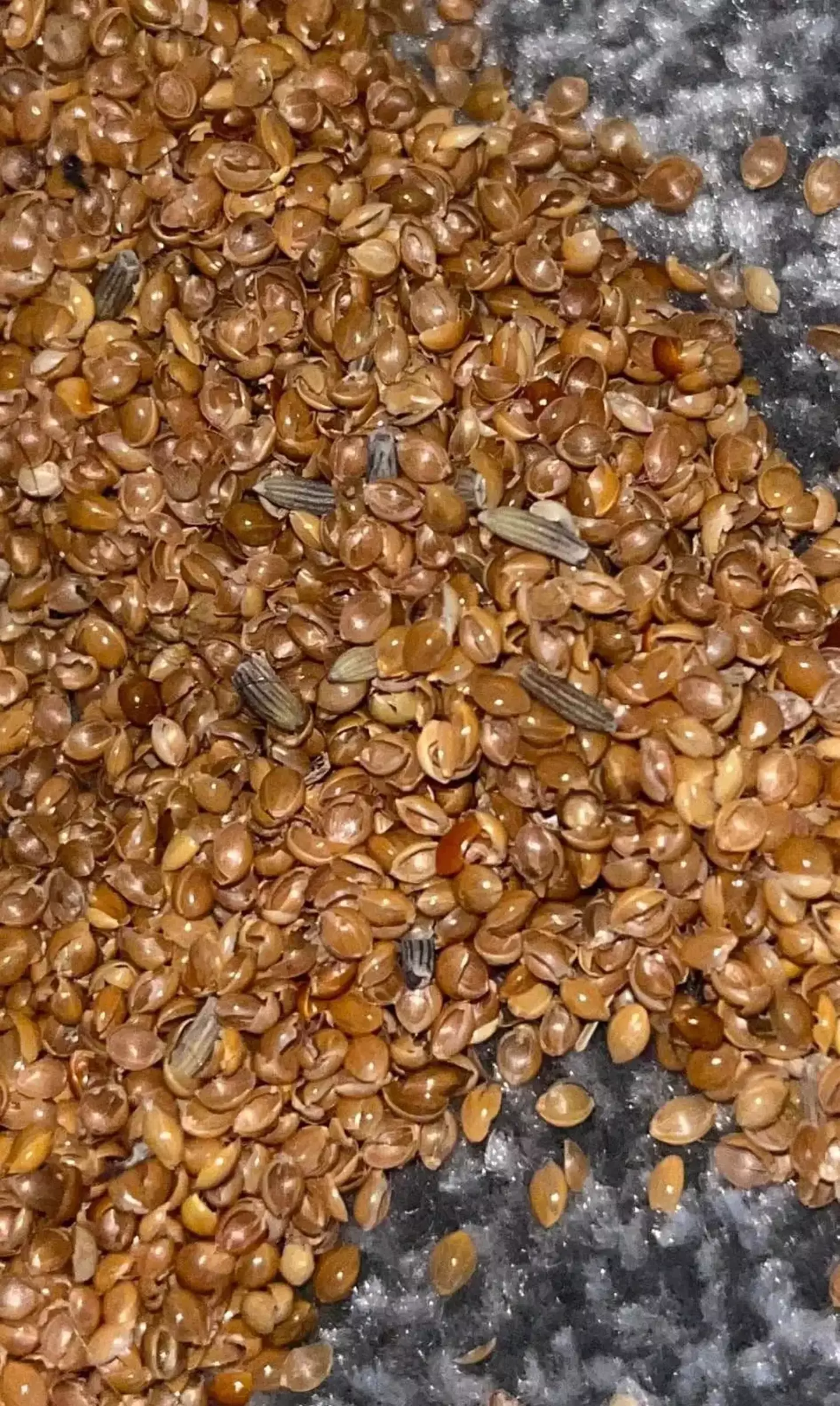 The mum made a shocking discovery at the end of her son’s bed. Facebook/Family Lowdown Tips and Ideas