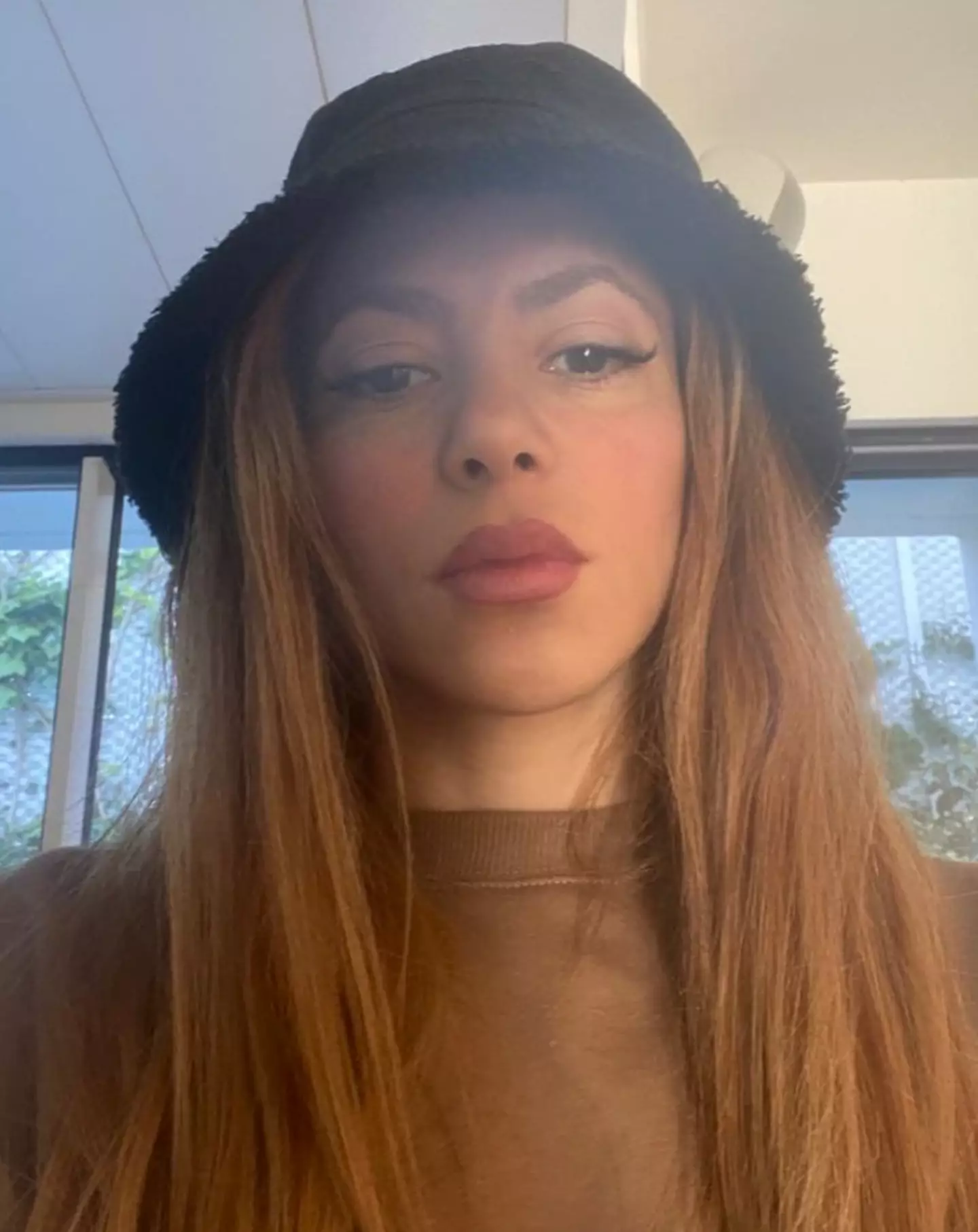 Shakira's fanbase has branded his comment 'xenophobic'.