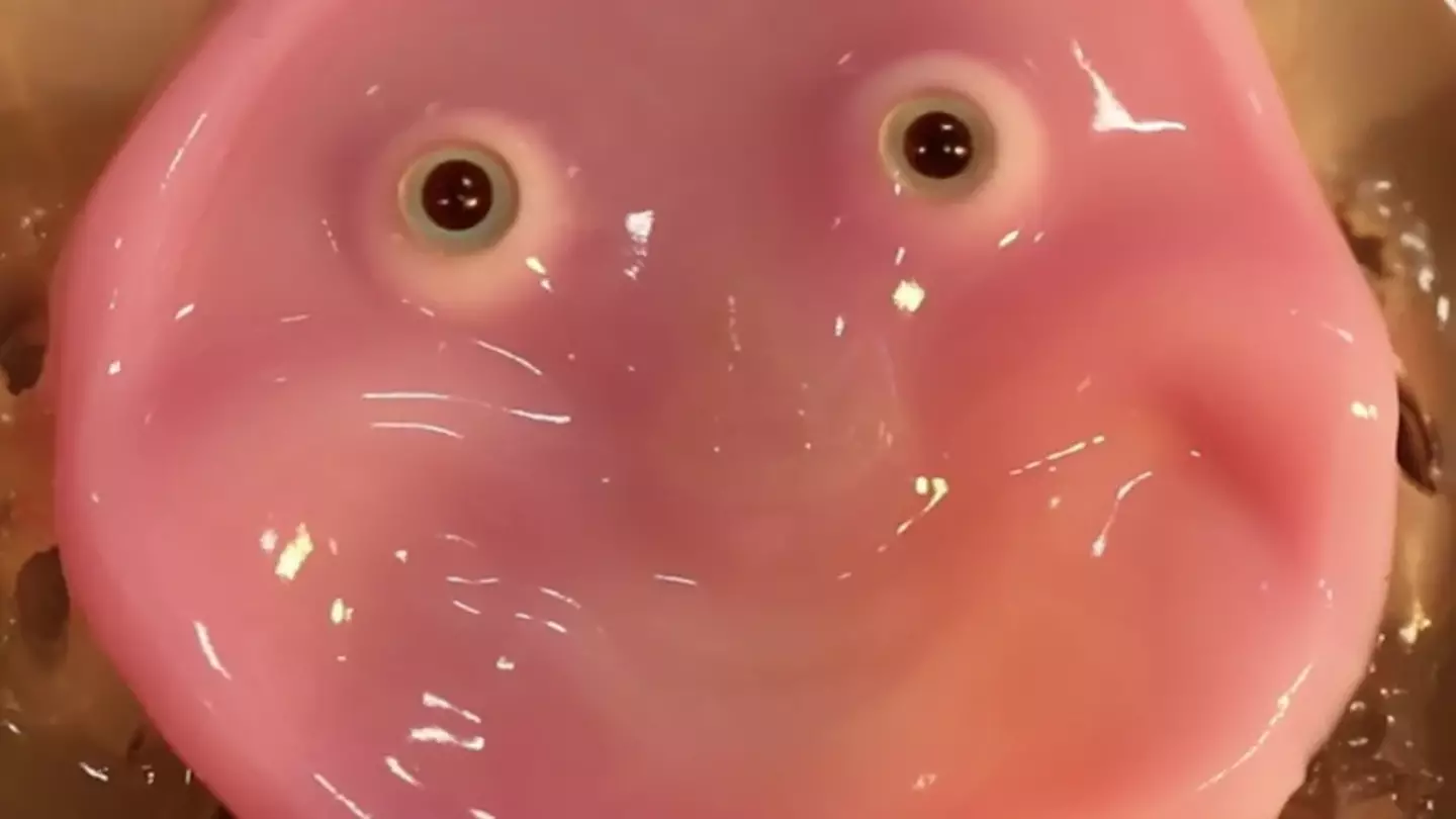 Scientists at the University of Tokyo have shared their latest technological breakthrough. (Takeuchi et al)