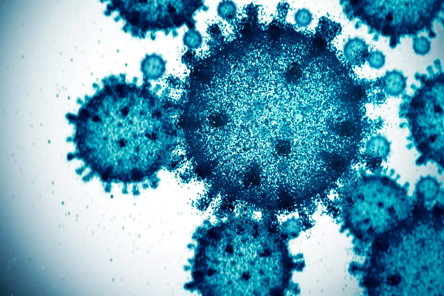 Highly contagious, mpox can be transmitted through touching skin. (Getty Stock Images)