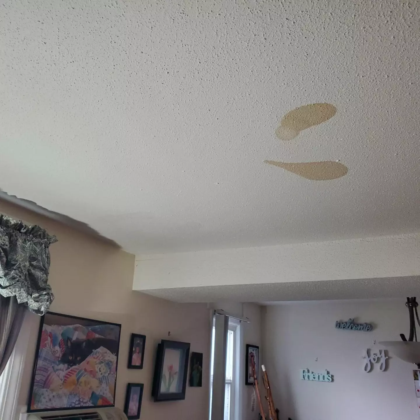 One woman was left disgusted after finally figuring out what the brown stains on her apartment ceiling were.