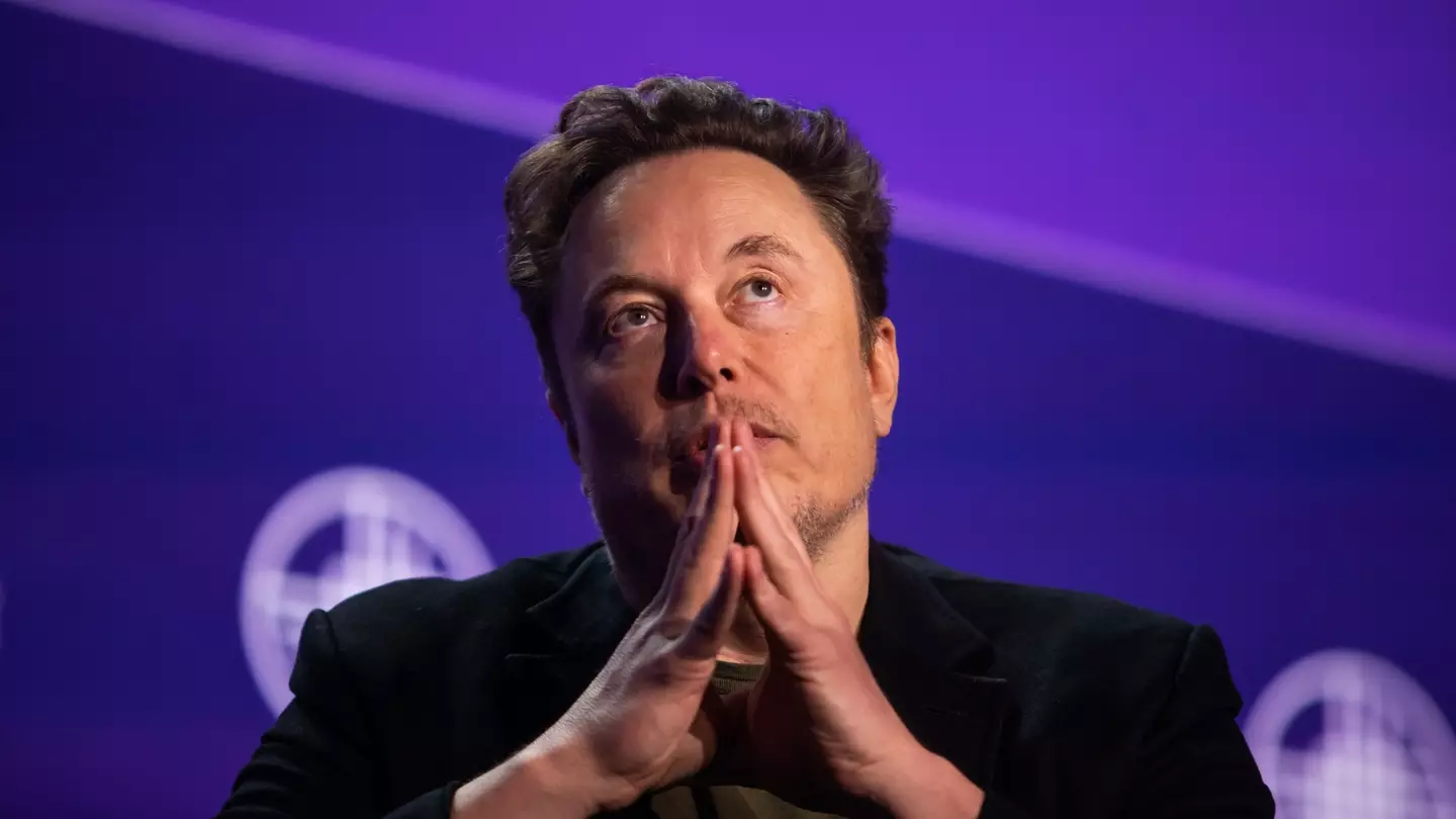 Elon Musk filing for full custody of son following Ashley St Clair's transgender U-turn