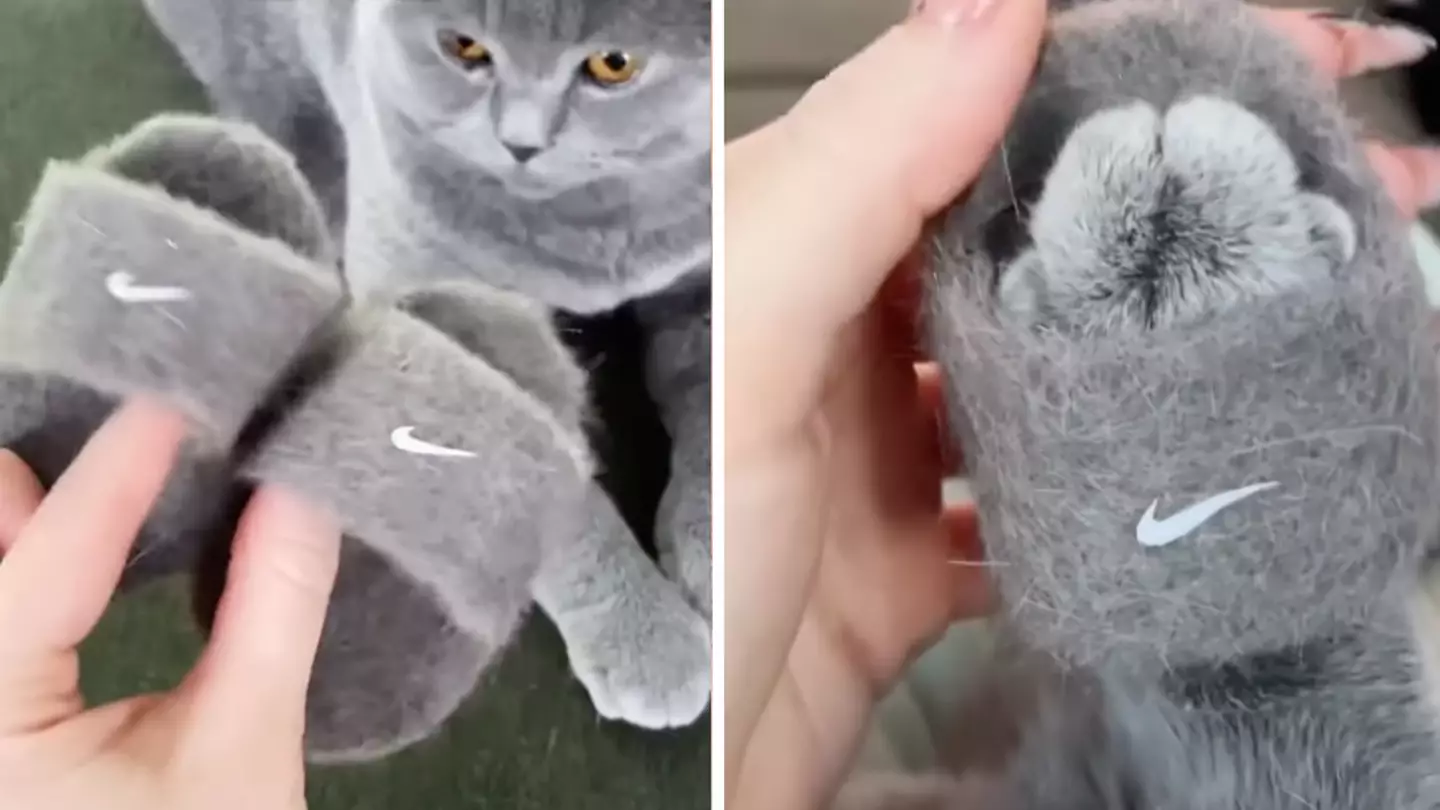 @mochithecatto/Instagram