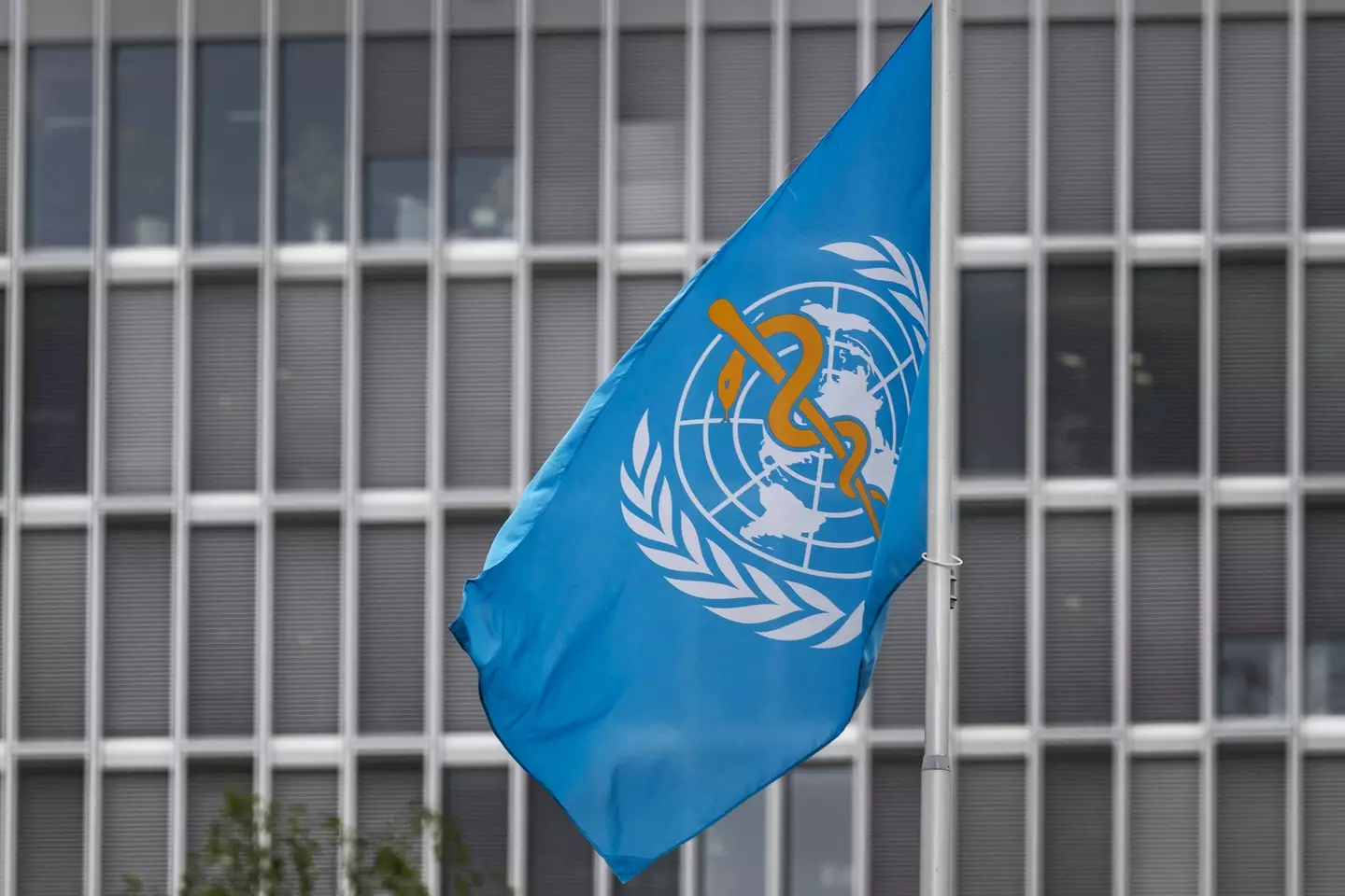 The WHO claimed it wasn't responsible for the ways that specific governments responded to the pandemic (FABRICE COFFRINI/AFP via Getty Images)