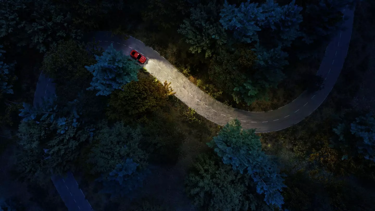 The couple were driving at night when the man had to have a pitstop.