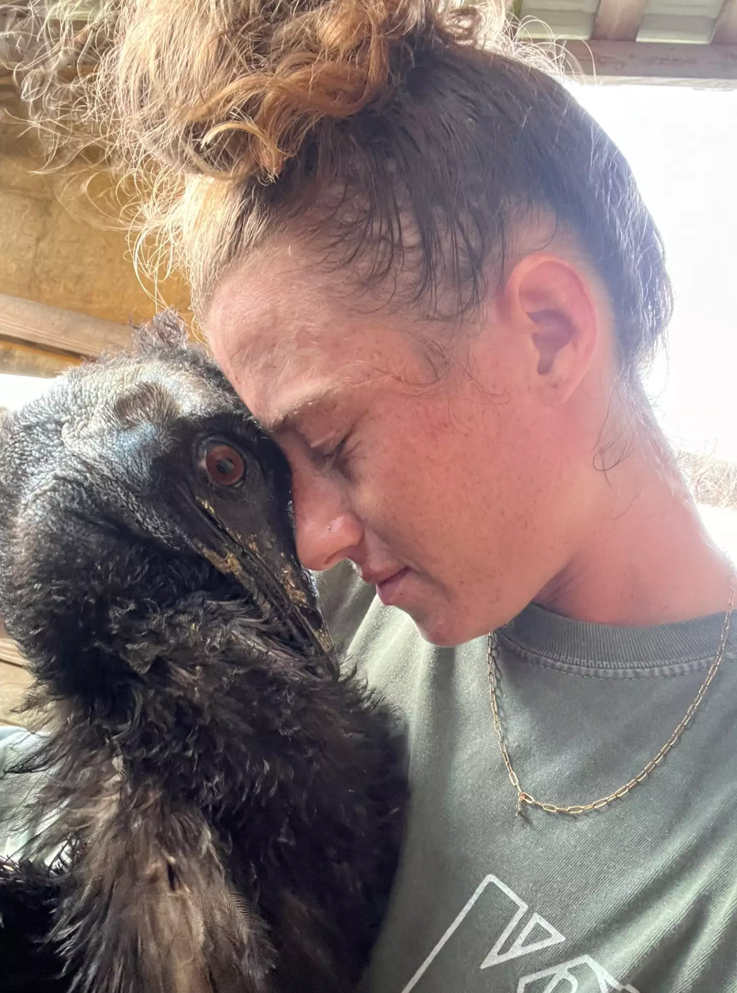 Emmanuel's owner reached out to Bindi Irwin for help.