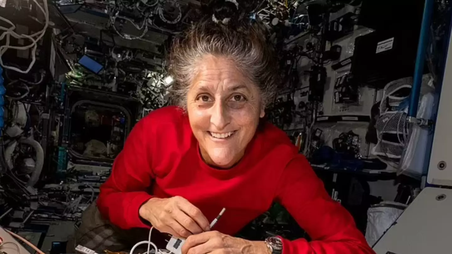 Scientists explain everything that might happen to stranded NASA astronauts' bodies when they return to Earth