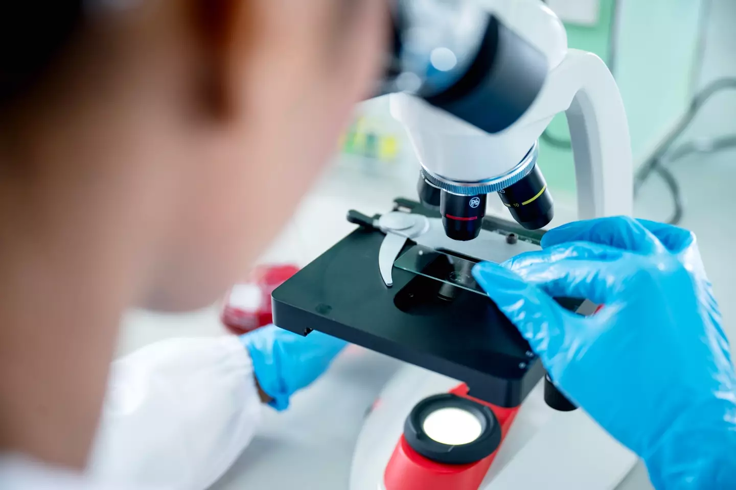 The Y chromosome could be on the way out (Getty Stock Image)