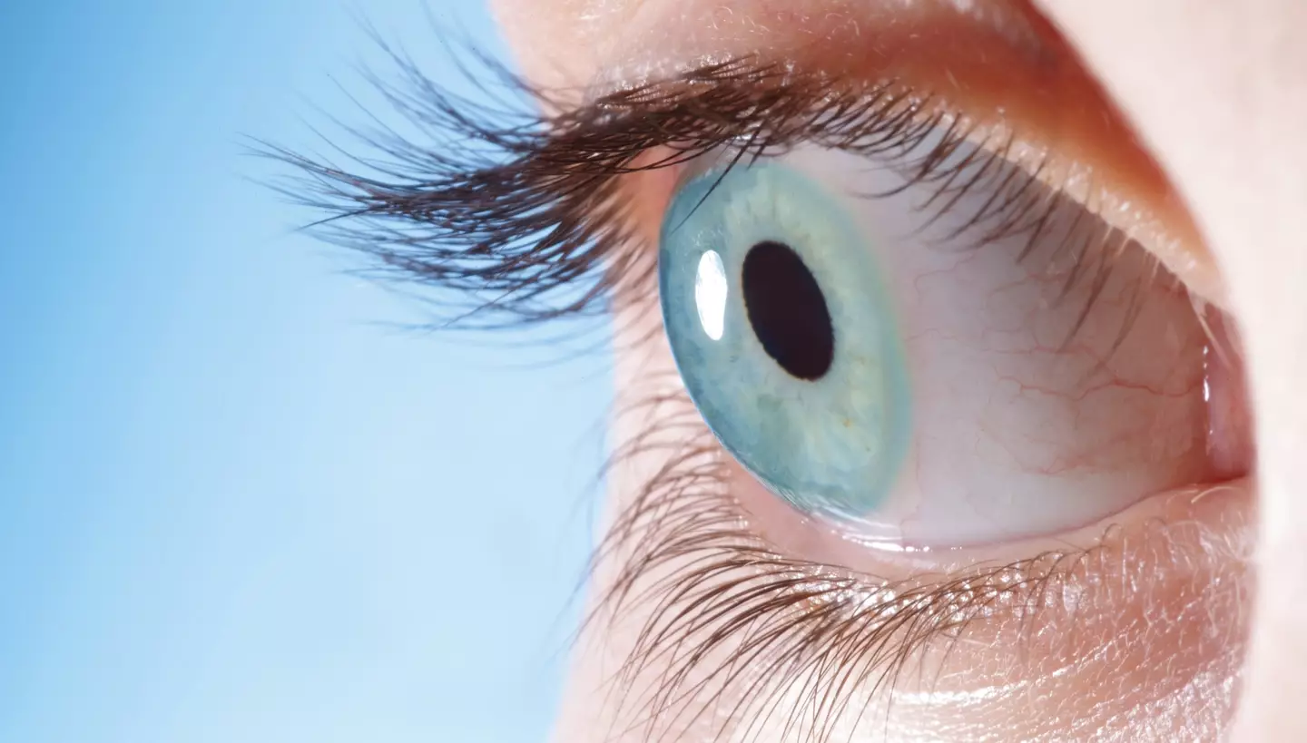 An eye doctor has revealed what you should fo if you start seeking pesky floaters in your vision (Getty stock image)