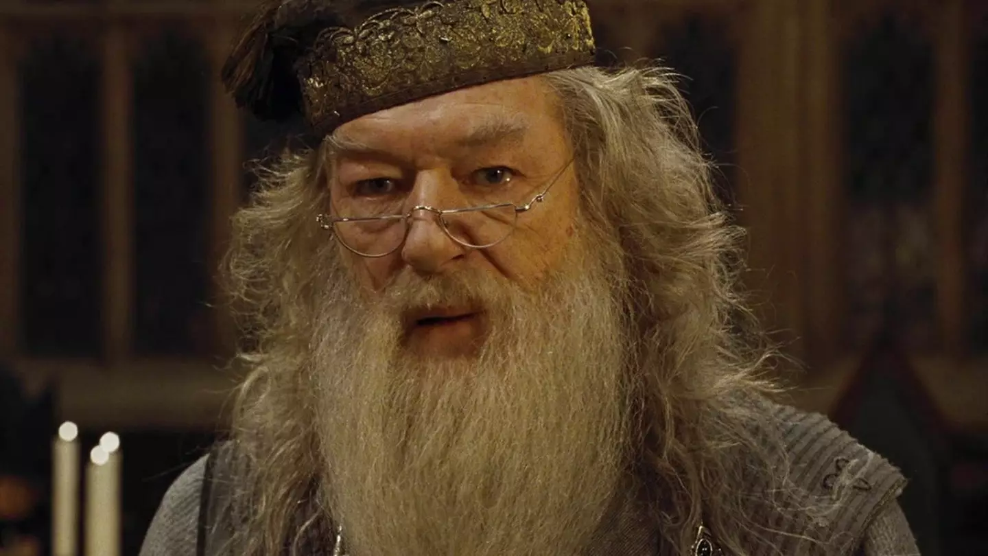 Michael Gambon took over the iconic role for the remaining six films of the franchise (Warner Bros.)
