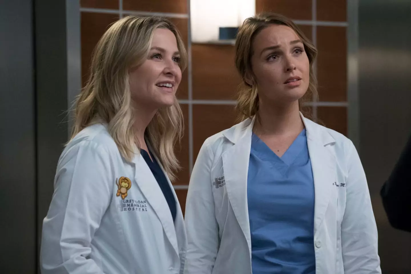 Jessica Capshaw and Camilla Luddington in Grey's Anatomy (Richard Cartwright / Contributor / Getty Images)