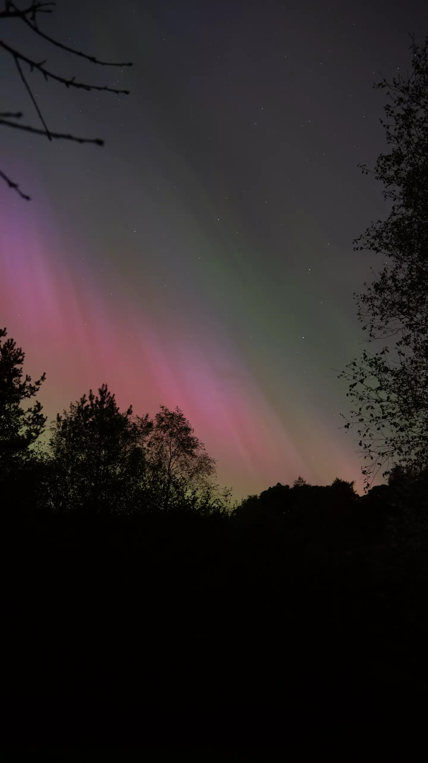 The Northern Lights are best witnessed in Scotland, North England, North Wales and Northern Ireland. (Ahmet Fevzi Arican/Anadolu via Getty Images)