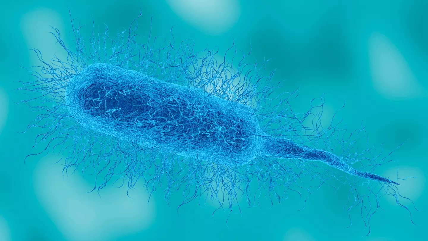 Two more people die after contracting flesh-eating virus as officials issue warning over increasing cases