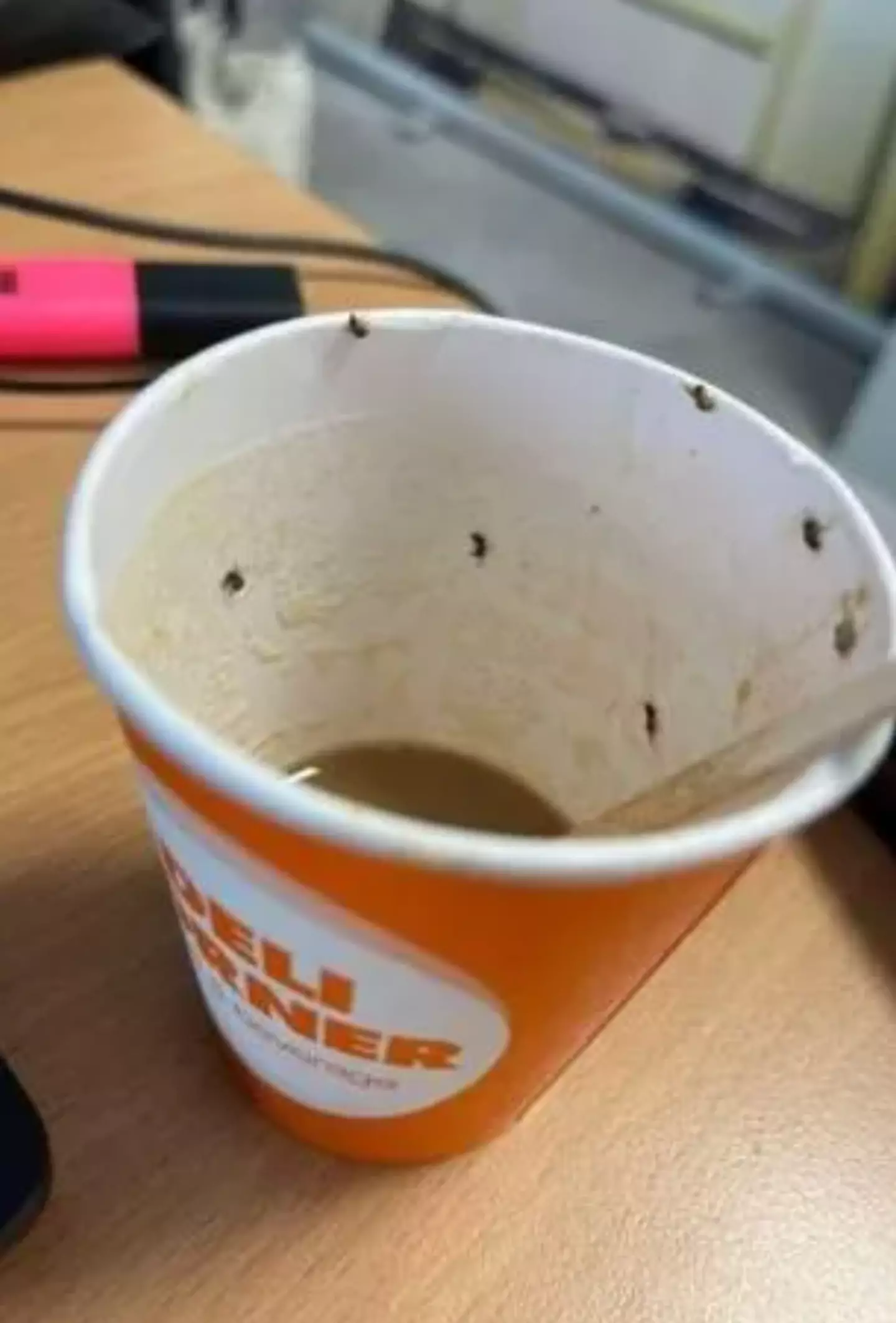 The cup was filled with bugs. (Ultima Hora)