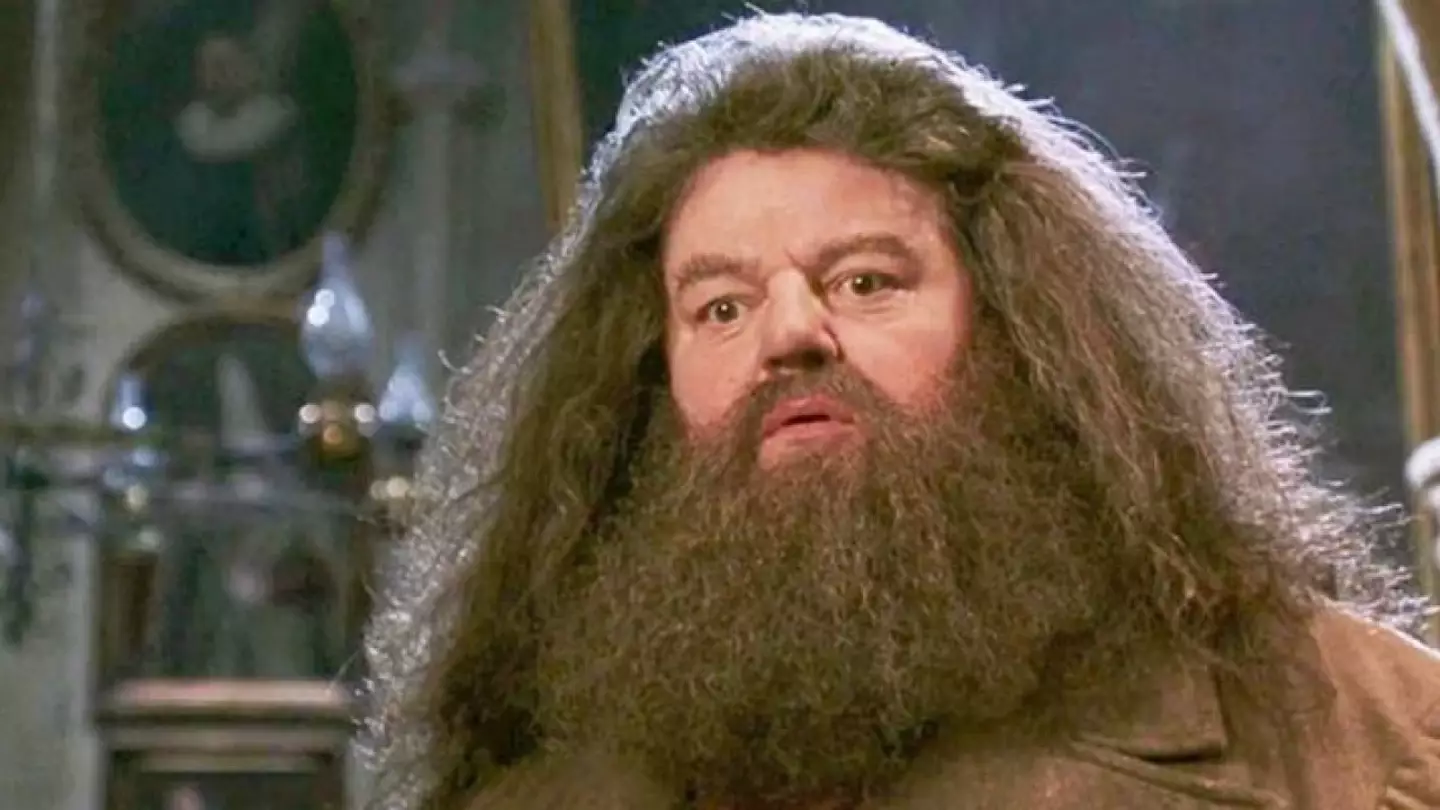 Could there be more to Hagrid than we ever knew? (