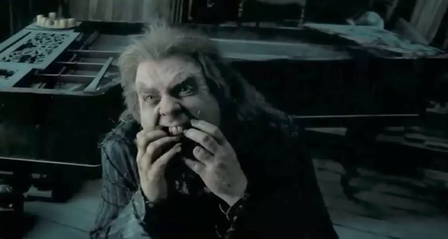 Pettigrew betrayed the Potters (