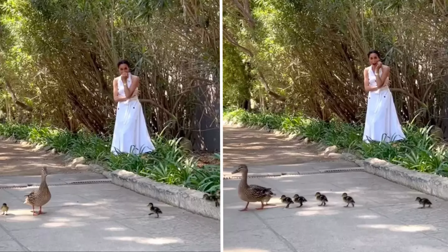 Secret meaning behind Meghan Markle’s cryptic post revealed by Oprah after she ‘mocked’ new surname