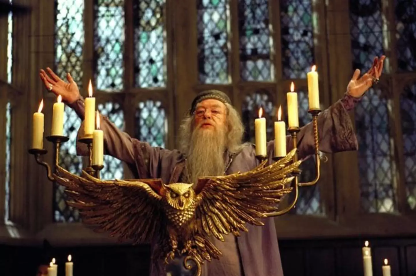 Gambon as Dumbledore in Harry Potter.