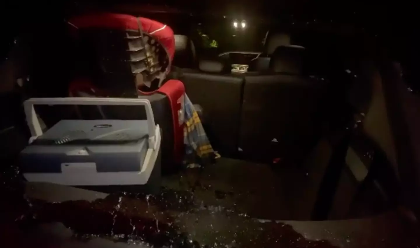 Peter shared a video of what happened.
