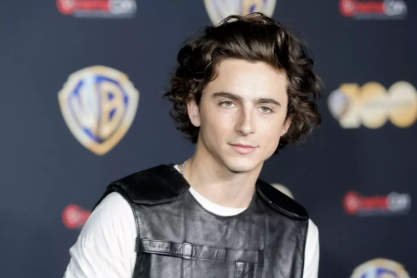 Timothee Chalamet has been dissed for his alleged relationship.
