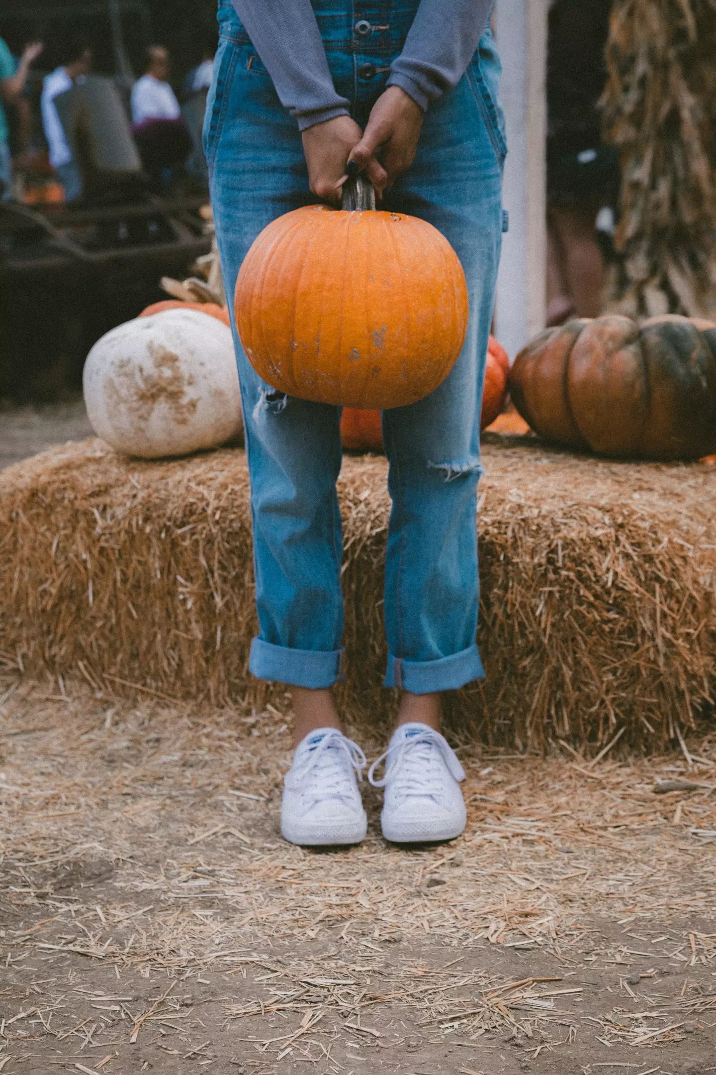 People were shocked to find out the reality behind a lot of pumpkin patches in the UK.