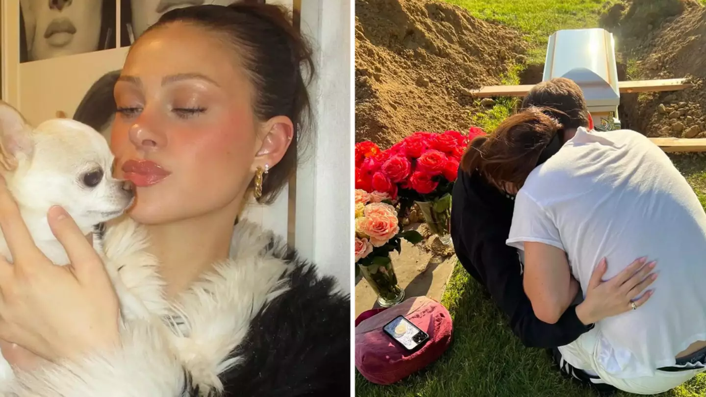 Nicola Peltz defended as heartbreaking post about death of ‘healthy’ dog following visit to groomers sparks backlash