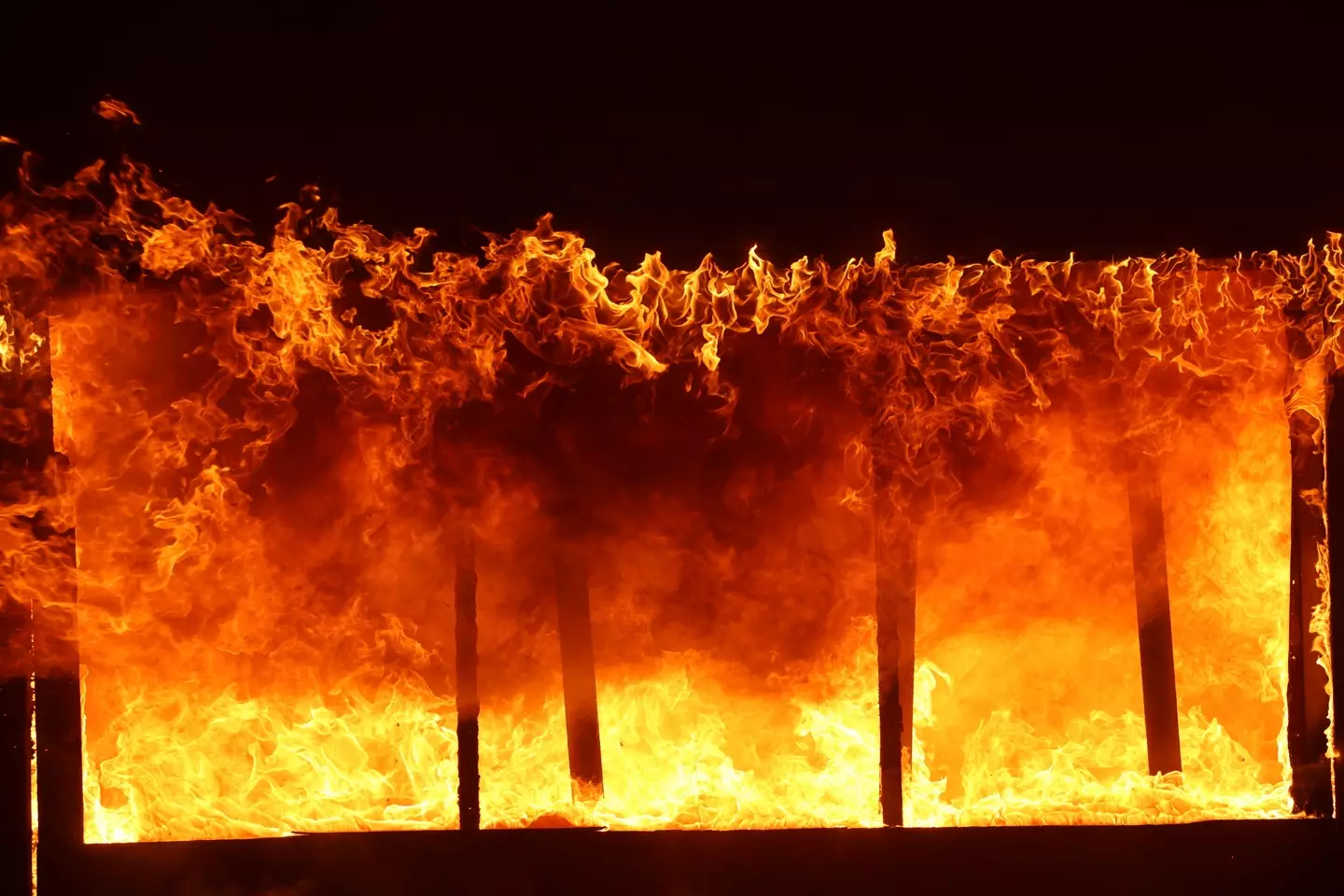 The Los Angeles wildfires have now claimed the lives of at least 24 people (Official Flickr Account of CAL FIRE / Handout/Anadolu via Getty Images)