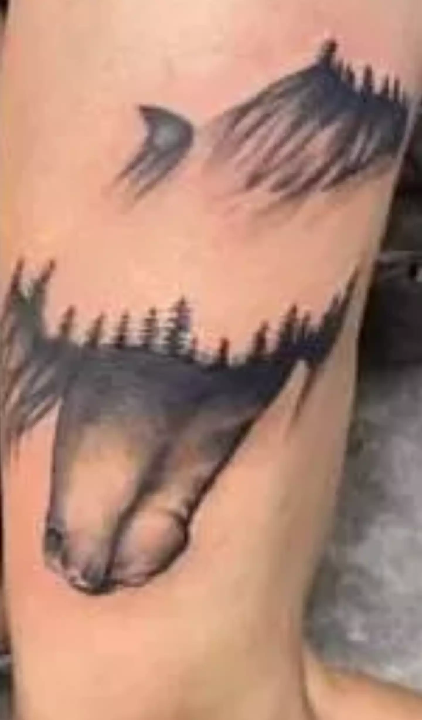 People said the tattoo looked like something else (