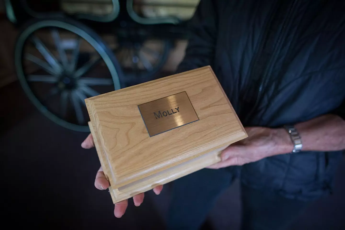 Pets were thrown in landfill (Matt Cardy / Stringer / Getty Images)