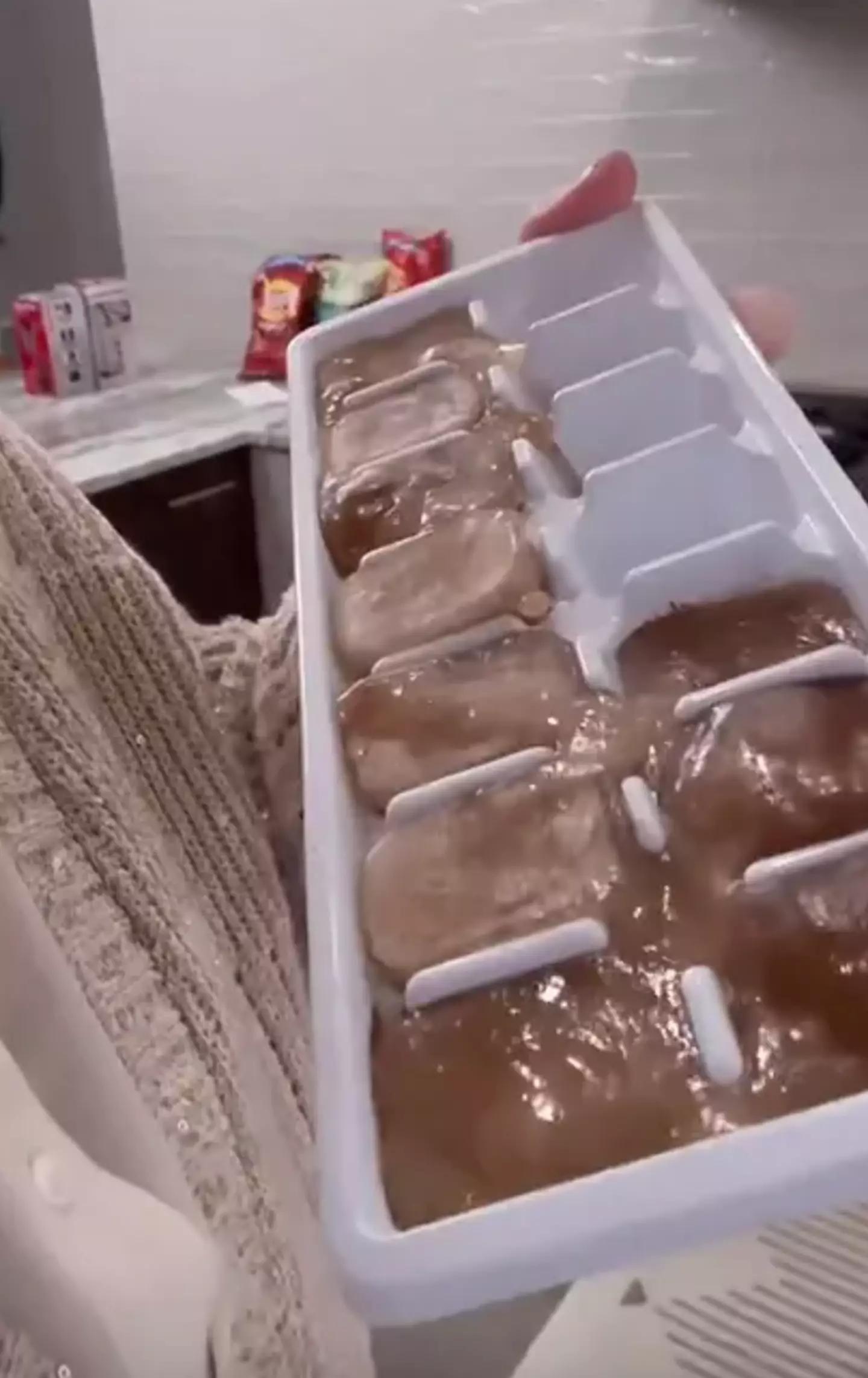 Her ice cube hack caught attention online (Instagram/@colleenhoover)