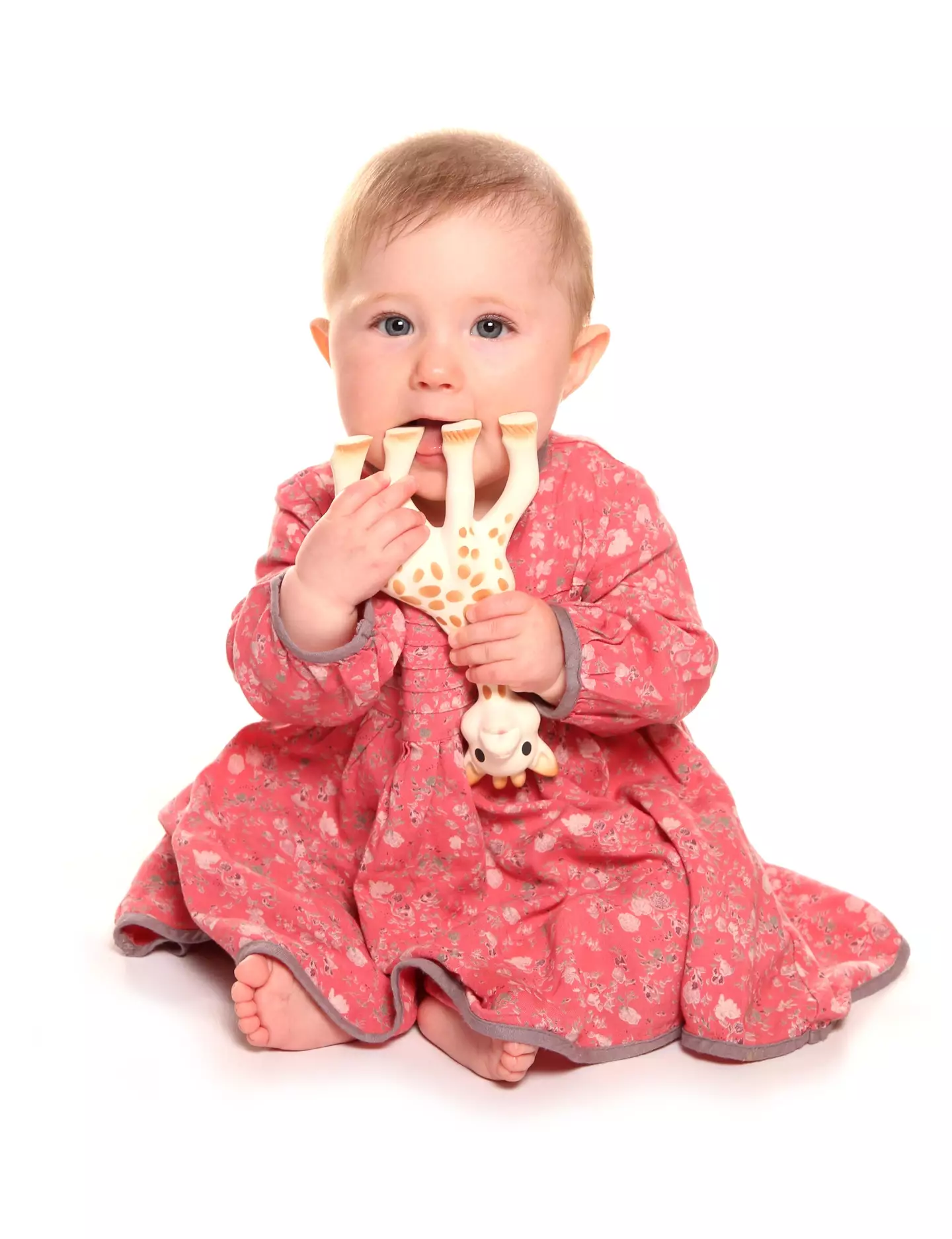 Sophie the Giraffe is a popular children's teething toy.