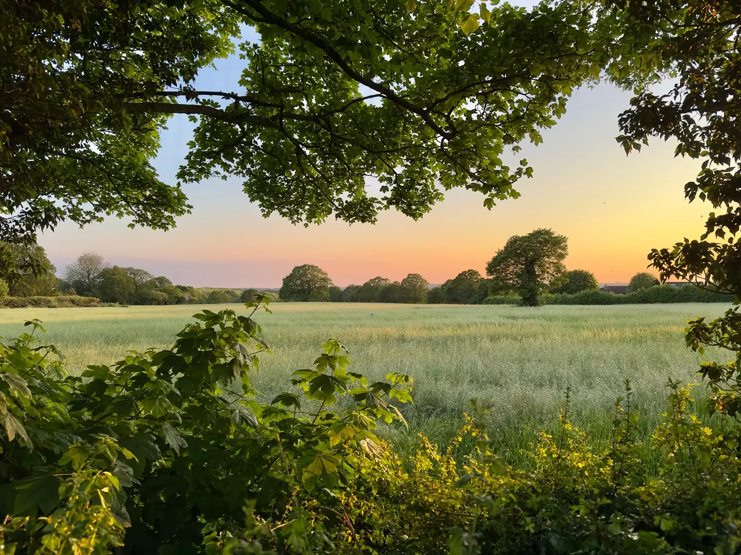 They might just be able to afford to live in the countryside more (Nigel Harris/Getty Stock Photo)