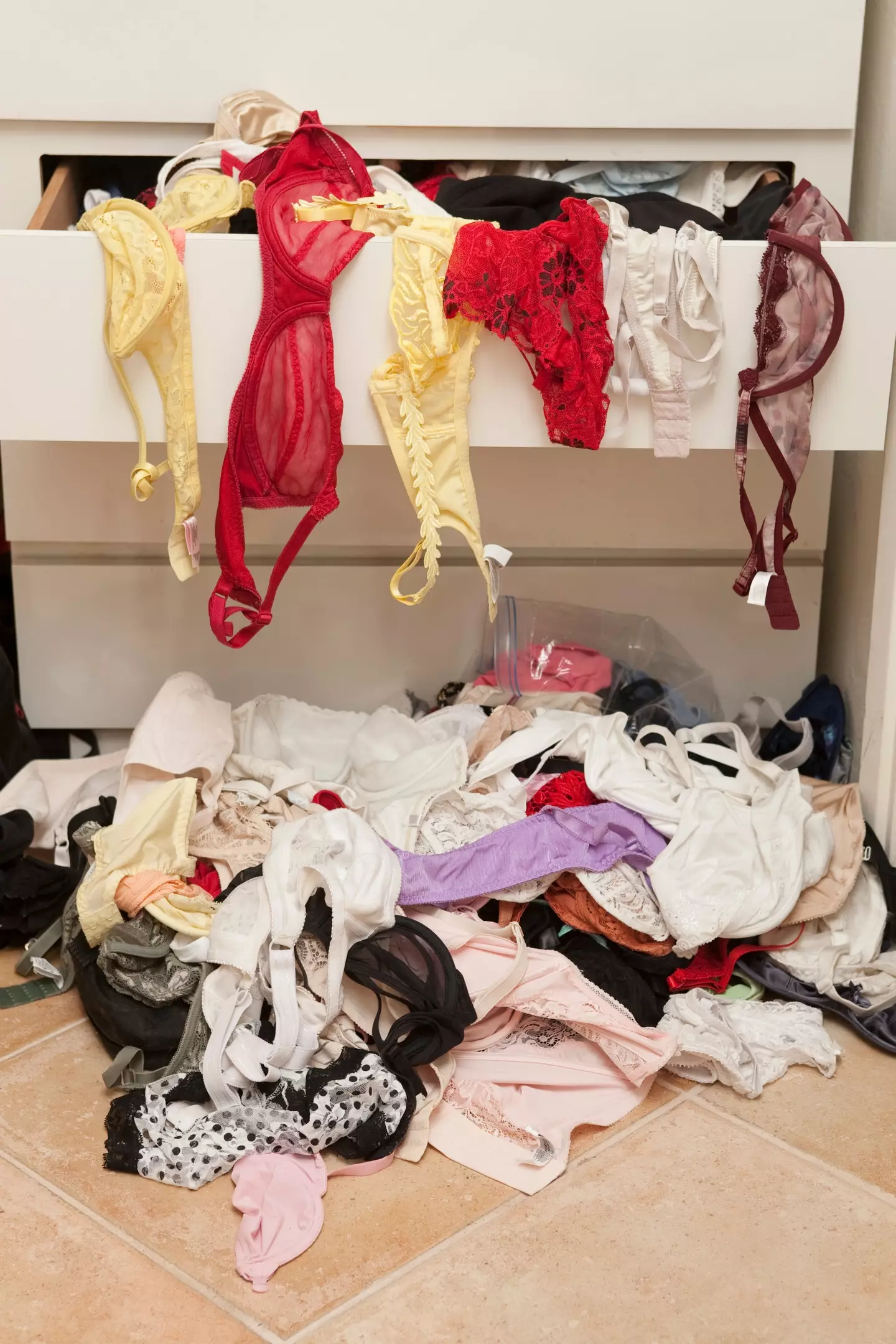 Melania's 'pantie' drawer was reportedly raided (Getty Stock Image)