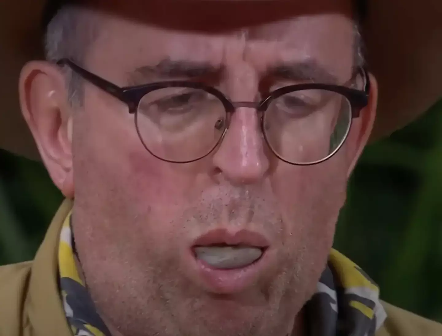 Celebrities are faced with all kinds of gross eating challenges. (ITV)