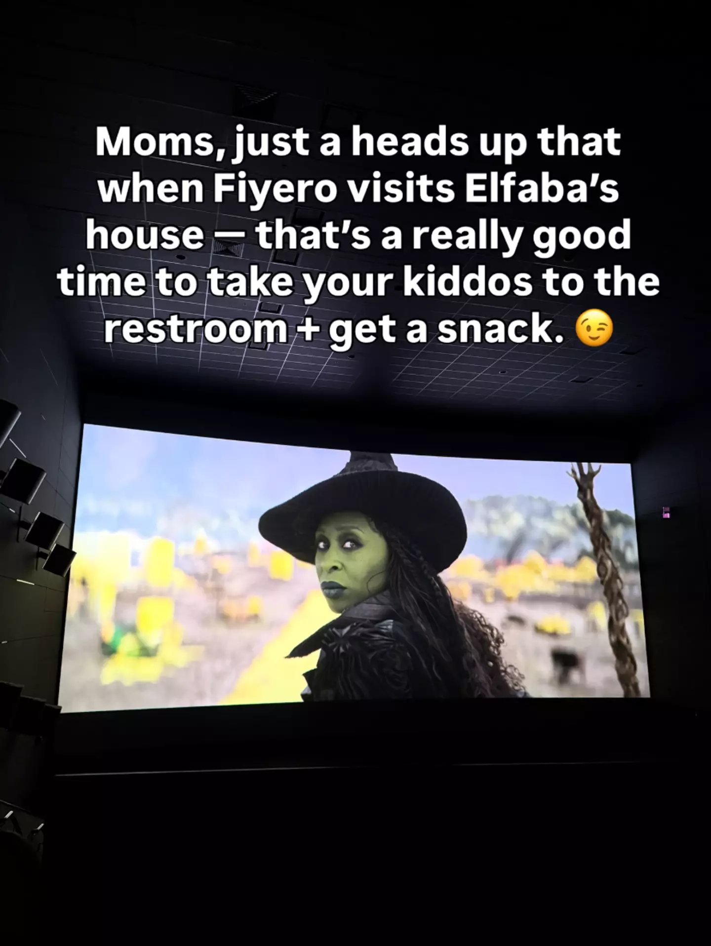 A mother-of-three has sparked a social media debate with her parental warning for Wicked: For Good (Instagram/@angela_beeler)
