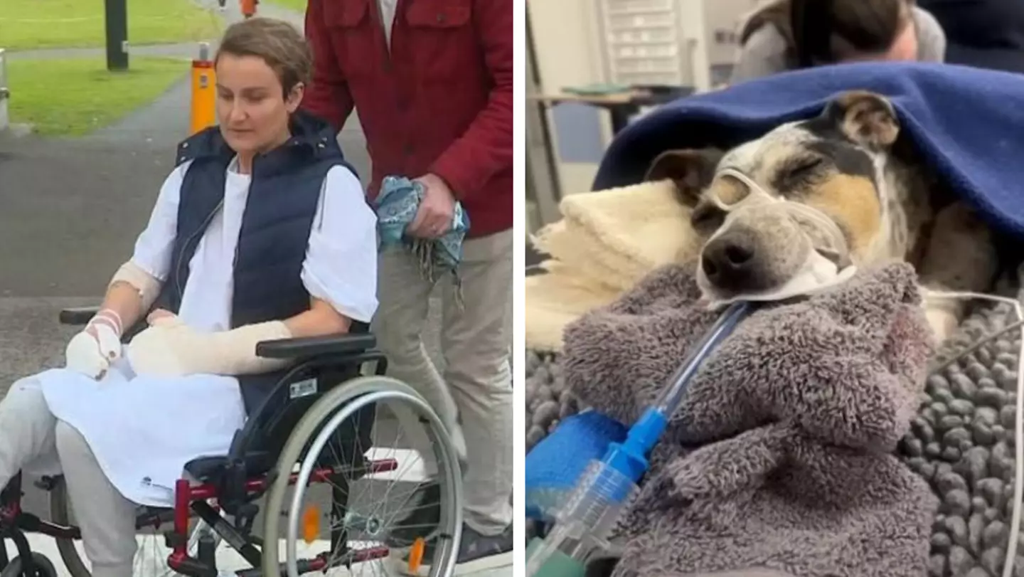 Woman says she's 'lucky to be alive' after pet dog died in 'horrifying' dog attack
