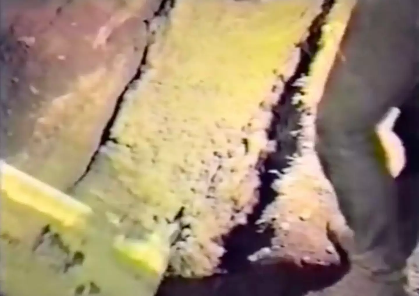 Seven tons of dirt and cement was piled on top of the coffin.