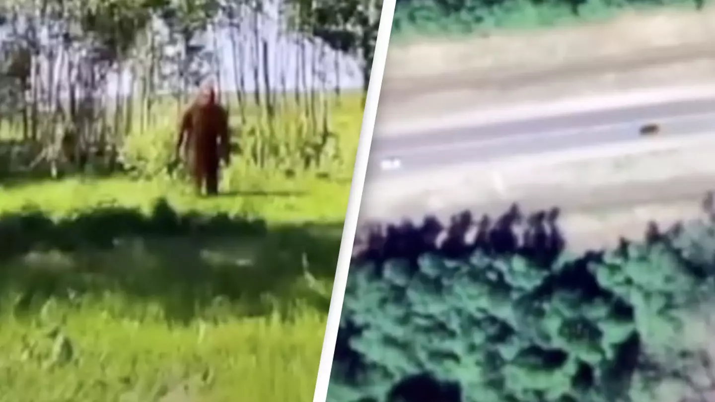 'Bigfoot' Spotted On Google Maps In Russia