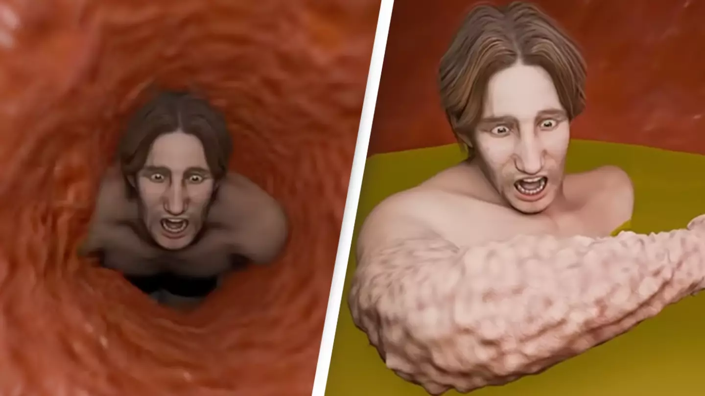 Horrifying simulation shows what happens to your body if you are swallowed by a whale